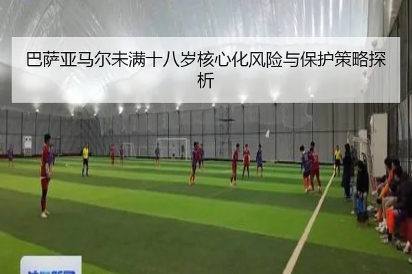 巴萨亚马尔未满十八岁核心化风险与保护策略探析